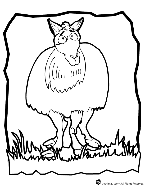 Plansa de colorat cu Lama 10 2